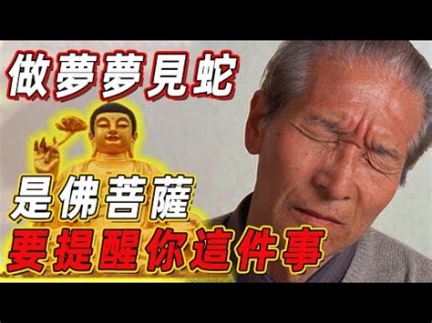 蛇的意義|【看見蛇代表什麼】看見蛇代表什麼？民俗專家揭露傳統文化中的。